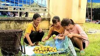 A brave single mother picks fruit alone to sell at the market to make money