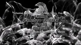 Calling x Scared To Be Lonely x Jungle x Limitless (Martin Garrix Sziget 2024 Mashup)