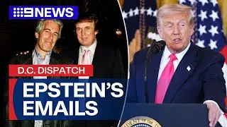 DC DISPATCH: New Trump-Epstein emails surface and government shutdown ends | 9 News Australia
