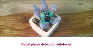 Raspberry Pi Camera Module 3   Autofocus cameras!
