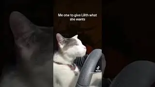 Yes, mistress.       #fypシ  #fyp #diablo4 #diabloiv #gameplay #diabloivgameplay #lilith