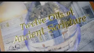 12 Oils of Ancient Scripture