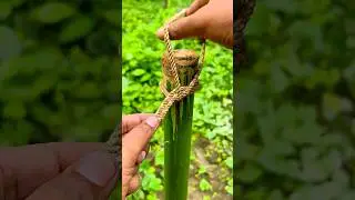 Genius Knot Tips and tricks.🙏#shorts #knotting #knotying #knotskill #knotfishing #shortvideo