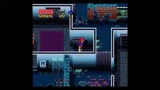 Super ZAMN 4 by Bonetail 100% Tool Assisted Showcase
