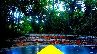 Hole in the Wall Sunrise Kayaking in 4K | Wildlife Sanctuary and Peaceful Beach Walk