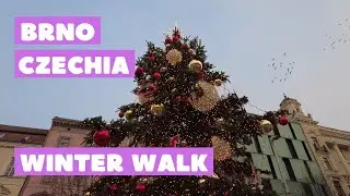 [4K] 🇨🇿 #Brno, Czech Republic | Winter City Center Tour | Dominikánské náměstí | Náměstí Svobody
