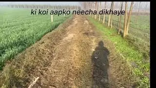Achhi hoon, par blind nahi. Self-respect comes first. #selfrespect#quietstrength#knowingyourworth