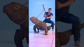 komodo dragon crashout [Block Tales]