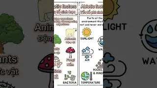Biotic and abiotic factors #english #grammar #learning #vocabulary #biology #science #shorts