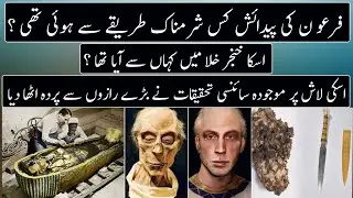 Scientist Found How Egyptian King Ramses ii Was born