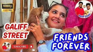 Galiff Street Pet Market Kolkata | dog market in kolkata | Dog Price | Gallif street kolkata | Dogs