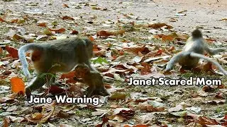 Jane Warning to Janet Stop play and Do badly on the babies