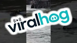 Rough Ride at the Jet Boat Races || ViralHog