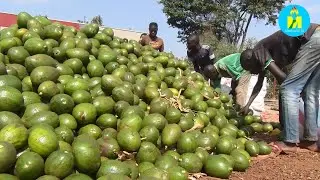 Amavoka yahora aca kuba commissionnaire agiye kugurirwa mw'isoko ya Kinazi i Muyinga.
