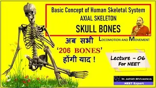 LECTURE - 6 | Human Skeletal System | AXIAL SKELETON | SKULL BONES | LOCOMOTION AND MOVEMENT