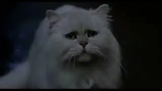 STUART LITTLE FUNNY (HINDI)