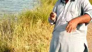 china pull fishing by rizwan bahi big rahu fish
