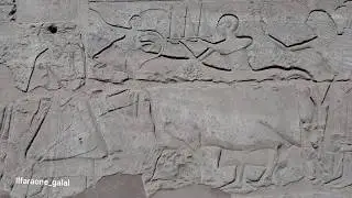Opet festival at Luxor temple | la festa di opet nel tempio di luxor