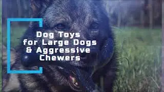 Monster K9 Dog Toys -- Indestructible Dog Toys or Large Dogs & Aggressive Chewers