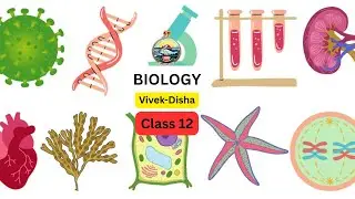 immunity system | Biology | Class-12 | Vivek-Disha | RKMVERI-2026-01-19