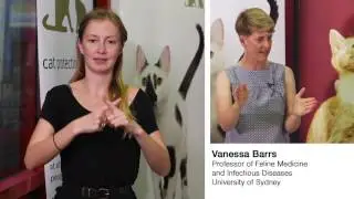 Veterinary Issues - Early-age desexing