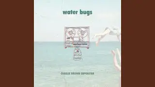 Water Bugs