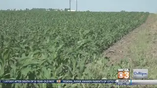 From the Farm: 2018 Farm Bill Features