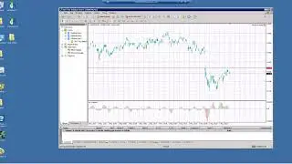 Видео обзор WSB Trend май 2019
