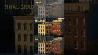 Colour grading process - Braw, rec709 and final grade. #colourgrading #davinciresolve