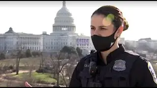 D.C. police officers describe being tasered and beaten during 'horrifying' Capitol attack '
