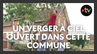 Cette commune ouvre sa cueillette en libre-service aux habitants