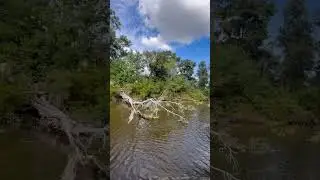Cruising the Bayou