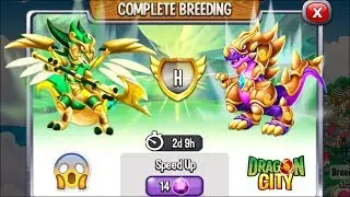 Dragon City: High Virago Dragon vs High Frozen Dragon [EXCLUSIVE BREEDING] 😱