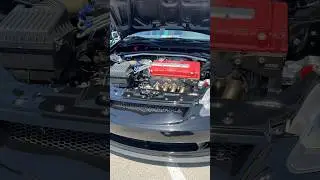 Cleanest Engine Bays | The Honda Meet #honda #acura #hondacivic #engine
