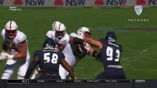 Stanford's Bryce Love Highlights - College Football at it's Best