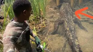 Spearfishing For Food in Crocodile infested Water and this Happened
