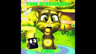 TOM SCREAMING FUNK (Ultra Slowed)