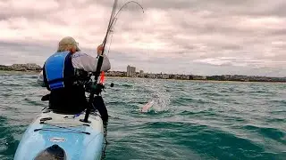 Kayak fishing off Port Elizabeth's MOST POPULAR BEACH