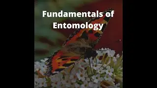Taxonomy principles and procedures of classification and nomenclature of insects.