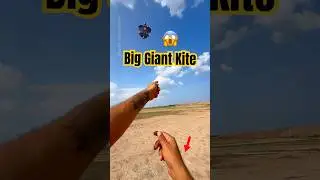 big kite flying international kite festival #basantinternational #kiteflying #kiteday #kiteground