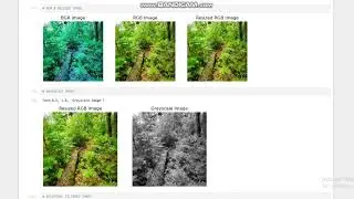 HYBRID VISION TRANSFORMER CNN MODEL WITH CONTRASTIVE LOSS FOR IMAGE CLASSIFICATION