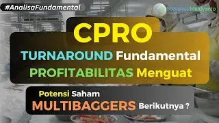 TURNAROUND Fundamental Saham CPRO, PROFITABILITAS Menguat, Potensi Saham MULTIBAGGERS berikutnya ?