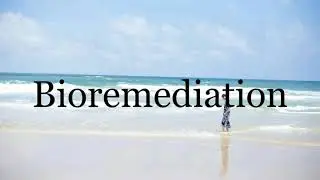 How To Pronounce Bioremediation🌈🌈🌈🌈🌈🌈Pronunciation Of Bioremediation