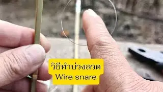 วิธีทำบ่วงลวดดักหนู A wire snare for trapping rats. #Handcrafted #TraditionalTrapping #บ่วงดักหนู