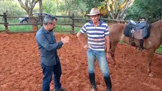 INÍCIO DE DOMA EM MANGALARGA MARCHADOR. POTRA CARLOTA