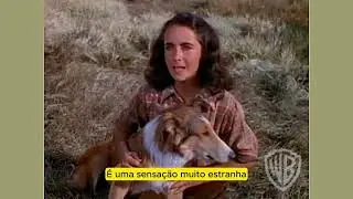 A CORAGEM DE LASSIE com Elizabeth Taylor   TRAILER