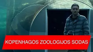 Kopenhagos zoologijos sodas