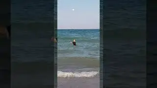 Sea training 2020