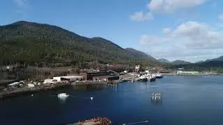 Mill at Ward Cove April 9 2020