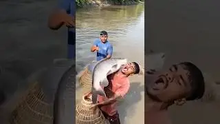 fishing, Sundarban fishing video, fish, sundarban new vlog #viral #shorts #shortvideo #fishing